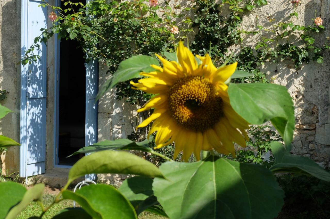 Chambres d’hôtes dans Maison d'artiste Galargues Exterior foto